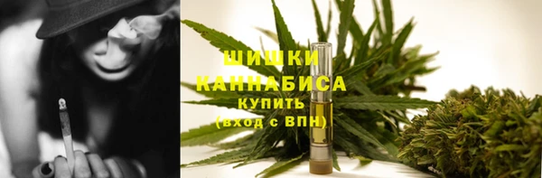 твердый Мегион