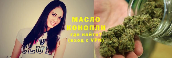 твердый Мегион