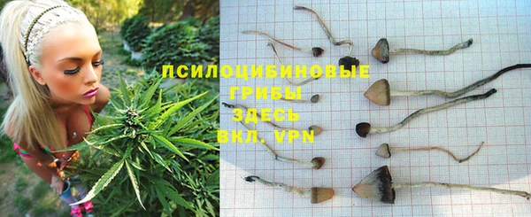 сатива Медвежьегорск