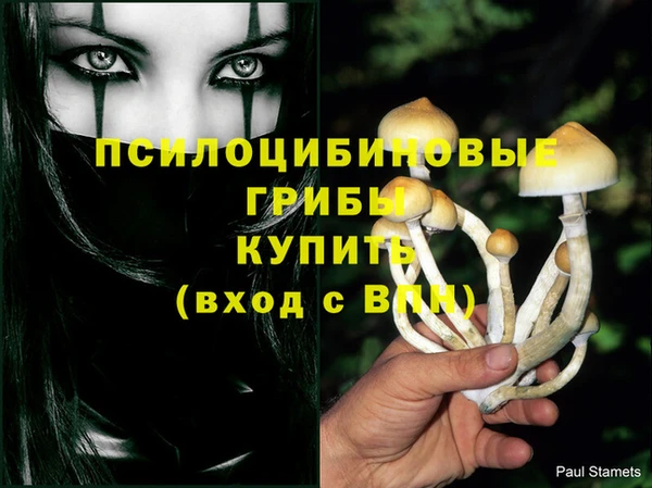 каннабис Ладушкин