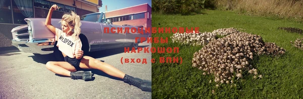 бошки Магас