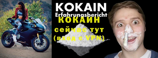 apvp Магадан