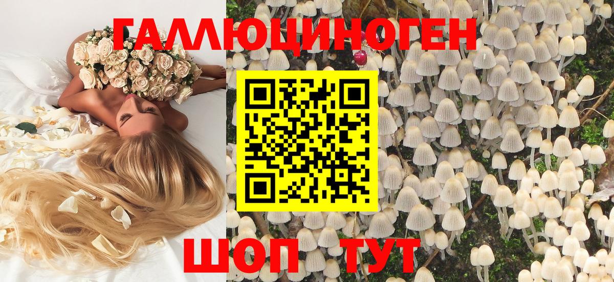 Абакан  Псилоцибиновые грибы мухоморы  Вход с VPN 